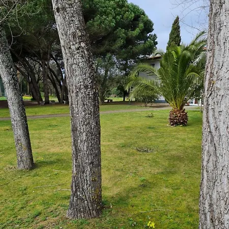 Quinta Rolas - Alojamento Local Farm stay *