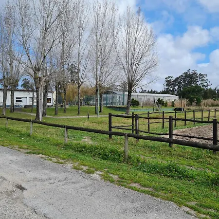 Farm stay Quinta Rolas - Alojamento Local *