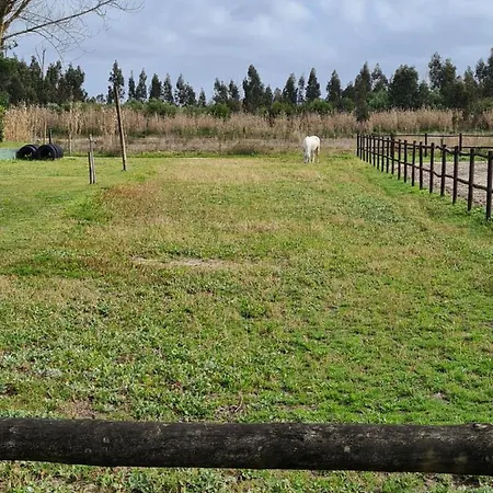 Quinta Rolas - Alojamento Local Farm stay